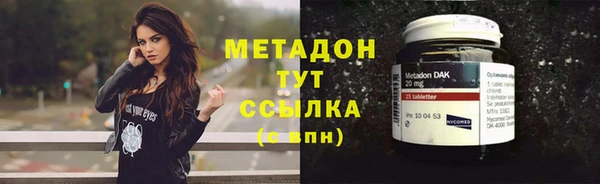 прущие грибы Нягань