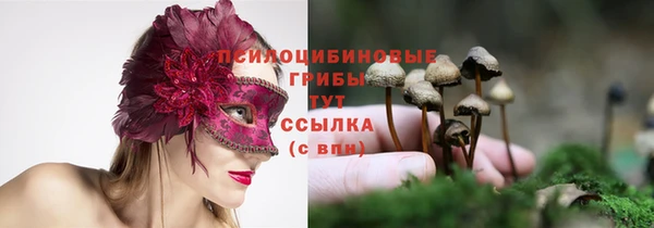 МДМА Няндома
