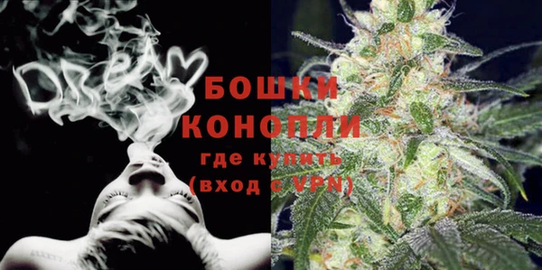 прущие грибы Нягань