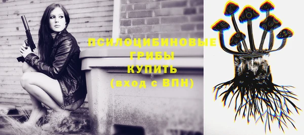 прущие грибы Нягань