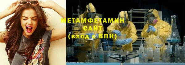 прущие грибы Нягань