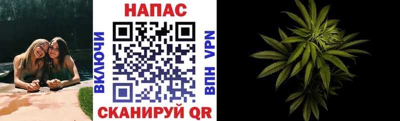 Каннабис сатива  Приозерск 